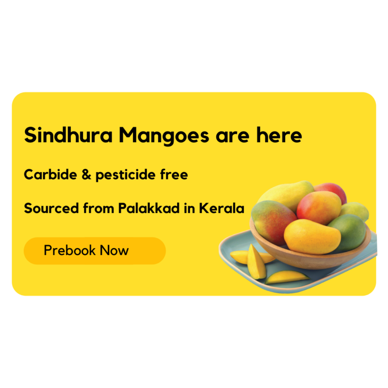 Sindhura Mangoes |Carbide free | Pesticide Free